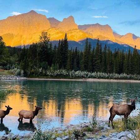 Apartament Unit #302 Mountain View 2 Beds In Dt Canmore Zewnętrze zdjęcie