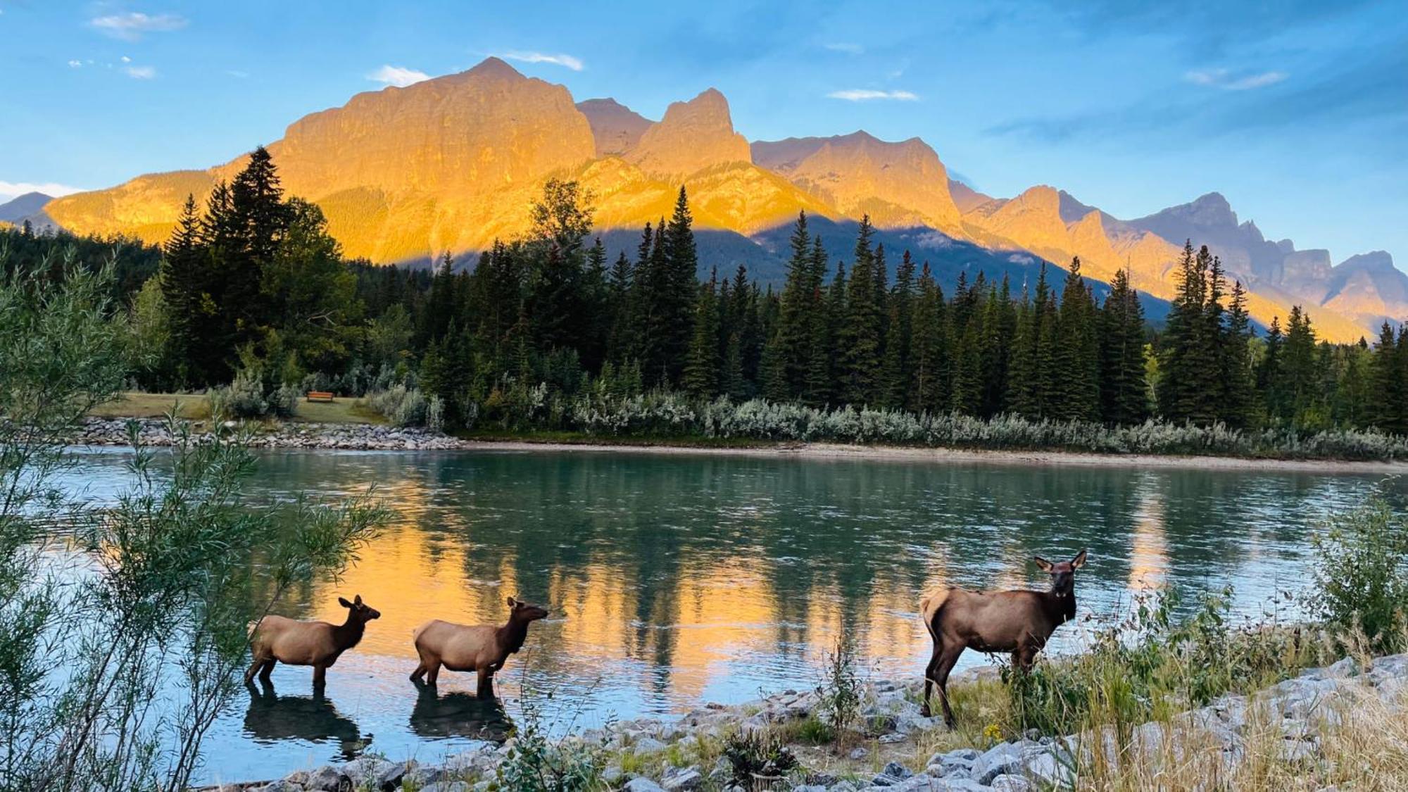 Apartament Unit #302 Mountain View 2 Beds In Dt Canmore Zewnętrze zdjęcie